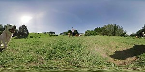 26K views · 215 reactions | Fusion ist ein neues Aufnahmegerät für immersives VR, nicht-VR und Fotos! Nehmt mit 5.2k30 auf und verwendet OverCapture, um Momente in alle Richtungen festzuhalten und später festzulegen, welchen Ausschnitt man davon verwenden möchte. Wer professionell Bilder aufnimmt, kann sich hier für das Pilotprogramm für das Gerät hier bewerben: www.gopro.com/fusion | GoPro | Facebook