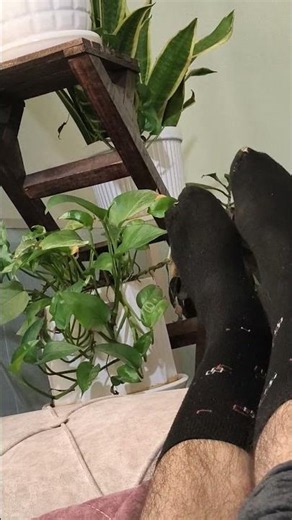 black socks|male feet|boy feet|boys feet |smelly feet #sockslove #mensocks #blacksock