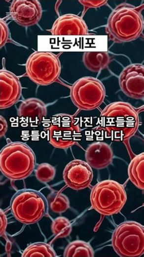 만능세포#만능세포 #종류 #세포 #변신 #분화 #능력 #팔방미인 #줄기세포 #백지 #도화지 #지방세포 #골세포 #연골세포 #shorts #쇼츠