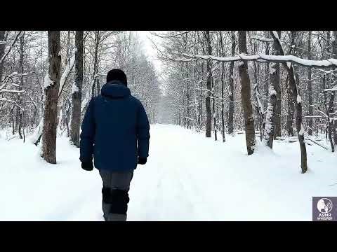 Walking Through Snowy Woods ASMR Crunching Footsteps & Wind – 3 Hours No Talking