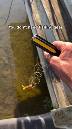 You Don’t Need Fishing Gear To Catch fish. Follow for more tips 🤣 (owendavisbmx_/IG) #fishing #fishinggear #bassfishing #fishingrod