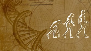 Dr. Bruce H. Lipton: Author & Epigenetics Expert | Gaia