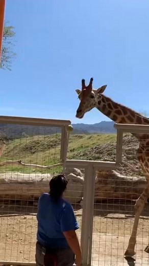 George Scott on Reels