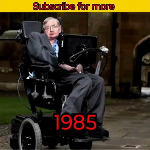 Stephen hawking|Stephanie hawking trailer|Stephen hawking biography