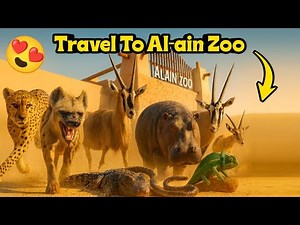 Exploring Al-Ain Zoo! 🦁 A Full Wildlife Adventure in the UAE | Habeebi Official Tv