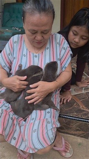 Pelukan hangat dari ibuku ll A warm hug from my mother #siboni #sibona #otter #animals