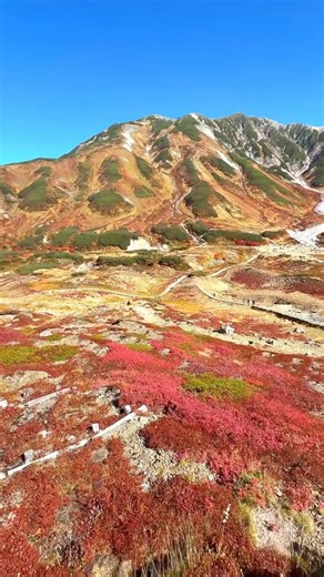 Shiori on Instagram: "🍁 25/10 立山紅葉前半🍁 室堂▶︎▶︎▶︎雷鳥沢 📝雷鳥沢ヒュッテ側の方に 歩いていったとこからみた紅葉が🙆🏻‍♀️◎◎ #立山 #立山連峰 #雷鳥沢 #室堂 #立山黒部アルペンルート #紅葉 #紅葉登山 #秋 #tateyama #japantravel"
