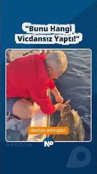 🔵A Caretta Caretta turtle has a paving stone under its foot!