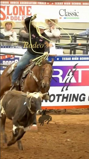 🤠Cowboys! 🐂speed & skill | Rodeo life