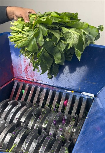 ASMR Shredder vs Best Spinach Recipe