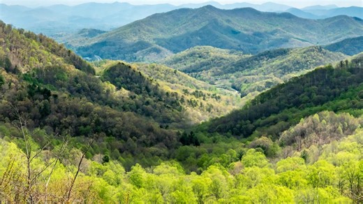 Environmental groups sue U.S. Forest Service over logging plan in popular NC forests