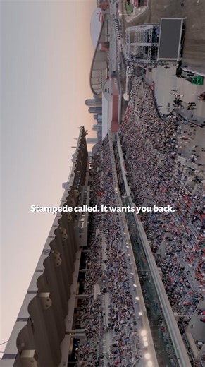 25K views · 342 reactions | Facts  | Calgary Stampede | Facebook