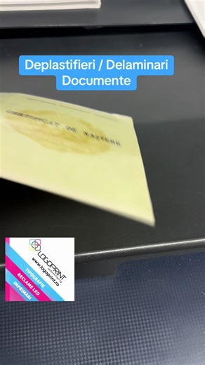 Deplastifieri și Delaminari: Ghid pentru Documente