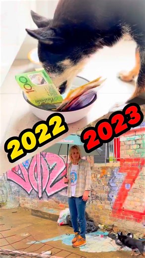 Web Zeppelin ⚡️ Fullstack Engineer on Instagram: "Want to make $155k as a developer? Comment 'learn' to learn how I did it 2022: Devs were dropping cash like rappers. $4k chairs. $6k Macs. Paid for Notion. Unironically. 2023: Same devs selling monitors to afford oat milk. Coding from a park bench. Resume in Google Docs free tier. The grindset giveth. The market taketh away. ⚡️ Follow @web.zeppelin for more #techhumor #programminghumor #webdevhumor #developerslife #softwareengineer #coding #webde