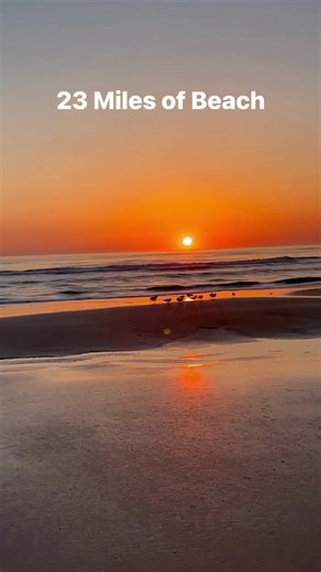 3.8K reactions · 396 shares | Discover hidden gems in Daytona Beach by joining our email list ⛱ | Daytona Beach Area Convention and Visitors Bureau | Facebook