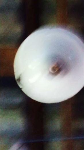 1 de janeiro de 2026