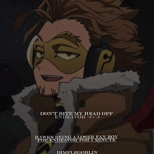 Hawks Fanboy Delighted by Endeavor's Performance | My Hero Academia