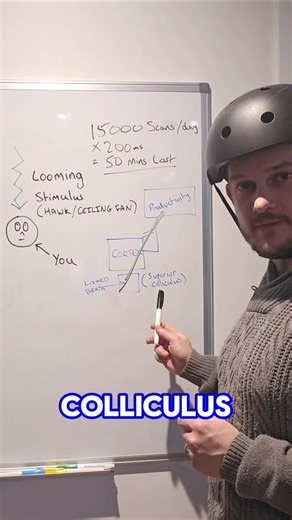 Why I wear a helmet to code (The Science) 🧠