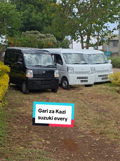 Suzuki Every Mini Van for Sale: Perfect for Commercial Use