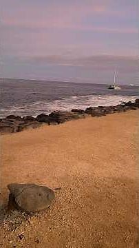 Sunset Magic Island Oahu Honolulu Hawaii