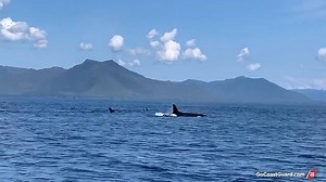 62K views · 1.9K reactions | Calling all #Coasties: What is the best piece of advice you have about living aboard a #CoastGuard Cutter? #USCG #GoCoastGuard #militarycareer | Go Coast Guard | Facebook