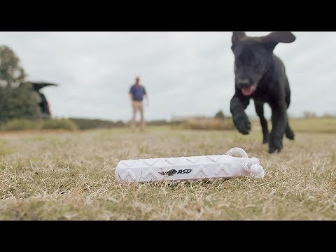 Mossy Pond Retrievers - Training Duck Dogs