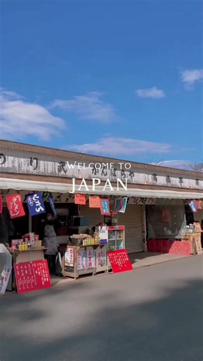 #printondemand #rucksäcke #tshirt #hoodie #marketprint #japan #samurai #ghostsamuraistyle #shogun #kodex #anime #katana #neu #shop #online #männer #frauen #unisex #explorer #deutschland #explorerpage #schweiz #entwicklung #österreich #einkaufen #onimaske