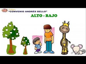 ALTO-BAJO, ANCHO-ANGOSTO