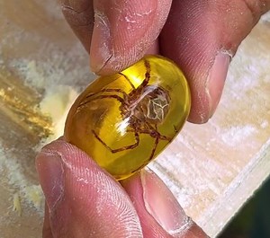 Crafting nature-inspired creations