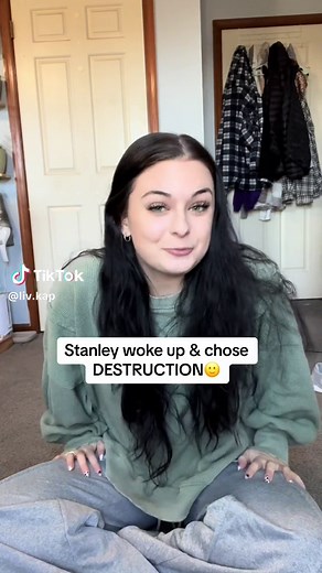 Stanley's Hilarious Destruction Day with Guinea Pigs