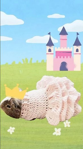 Crochet Princess Dress for Pets 👑Guinea Pig Reveal