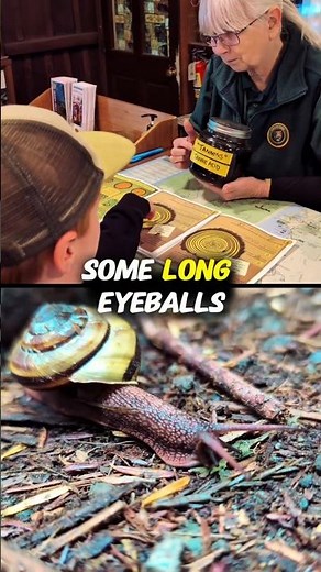 Meet Gary, the Snail 🐌