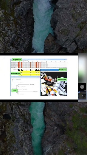 📺 The science behind multiple sequence alignment