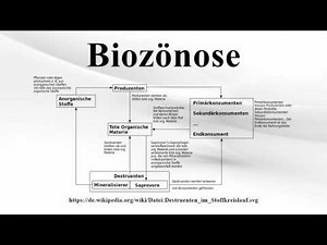 Biozönose
