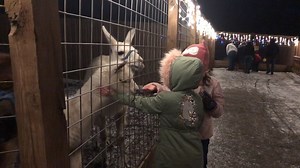 31K views · 1.4K reactions | There's still time to experience the magic of Jungle Bells at Animal Adventure! Bring the family out for the final weekend of Jungle Bells! We're open today, Saturday, and Sunday from 4 - 9 p.m. | Animal Adventure Park | Facebook