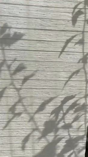 Four new fabrics just rolled out in our Provenance Woven Wood Collection ✨ Learn more about our woven woods: https://hunter-douglas.visitlink.me/jjo-lh | Hunter Douglas