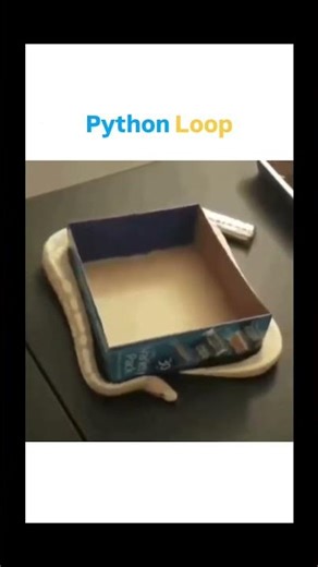 Literally Python Looping Through Everything! 🐍🔁 #shorts