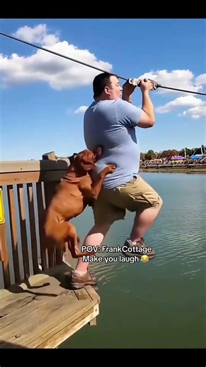 dog doing human like activities in the toilet #funny #youtubers #viralvideoshort