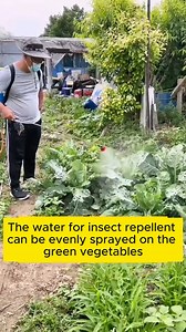 Safe pest control #gardening #garden #gardeningtips #gardenlife #gardeninspiration #gardenideas #gardenlove #gardendesign #gardenersofinstagram #gardenersworld #garden_styles #gardenphotography #gardenlovers #gardenerslife #gardenart #gardenbeauty #gardensofinstagram #gardenplants #gardenviews #gardenersparadise #gardenista #gardeningcommunity #gardenloversclub #gardenaddict #gardeners #gardenerslife | Home Gardening