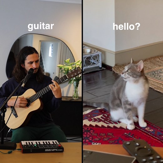 The Kiffness x Lonely Cat - Sometimes I'm Alone (Singing Cat) stream: bit.ly/SometimesImAlone | The Kiffness