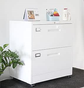 Metal Mobile 2-Drawer Storage Cabinet with Lock and Wheels,Vertical File Cabinet,Filing Cabinet for Home Office (White)
