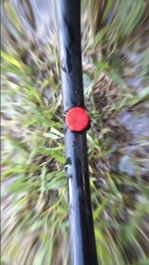 Button dripper irrigation | Dripper 70 liter per hour | Drip irrigation system | Adjustable dripper