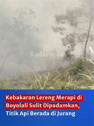 Kebakaran terjadi di jurang lereng Merapi, Boyolali. Medannya curam dan akses menuju titik api sangat sulit dijangkau. Warga pun harus memadamkan api secara manual menggunakan gebyokan. Kebakaran diduga dipicu pembakaran daun kering saat warga membersihkan lahan. Video : istimewa Editor : Margareth Dawinatul Marwa #radarsolojawapos #radarsolo #jawapos #Boyolali #Kebakaran #Merapi