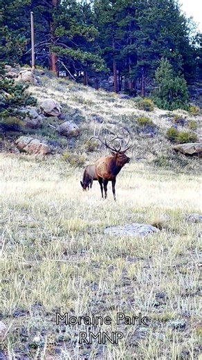 4.8K views · 180 reactions | 歷 The Haunting Call of the Rockies: The...