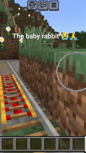 baby rabbit has died #minecraft