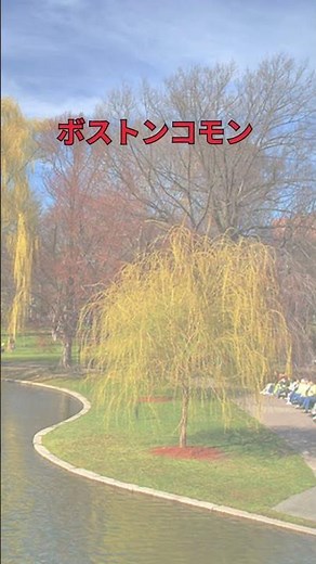 【アメリカ合衆国・東海岸】1分で巡るボストンの魅力 |ボストン観光ガイド#ボストン #Boston #フリーダムトレイル #ボストンコモン #ハーバード大学#クインシーマーケット#旅行動画#海外旅行