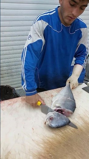 How To Fillet a Pompano Fish FAST | Amazing Knife Skills