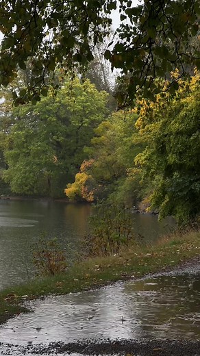 Embrace Autumn: Relaxing Rain Sounds for Cozy Days