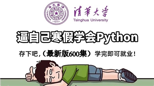 【整整500集】这绝对是2026最全最细的Python全套教学视频，从零基础入门到Python精通，学完即可就业！别走弯路了，大学生寒假学这一套就够了！