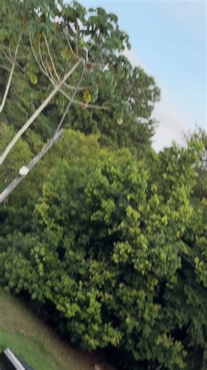 MS Multimarcas on Instagram: "Mais uma novidade na MS Multimarcas 😍🥵 Saveiro no padrão da casa a tal 6 farol 🤤"